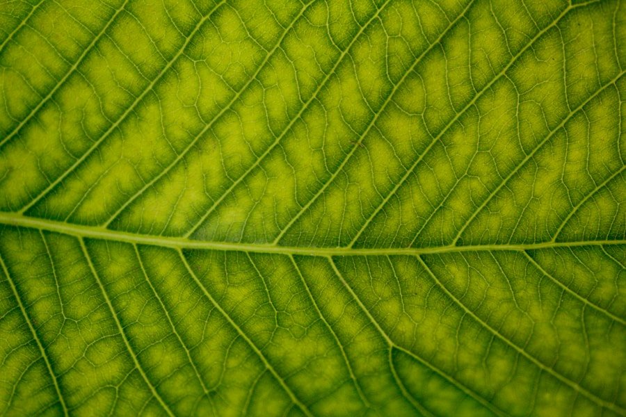 ¿Por qué las certificaciones sostenibles son clave para el éxito de la industria, servicios y destinos turísticos?